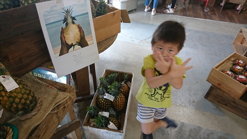 7日・個室オフィス契約しました！